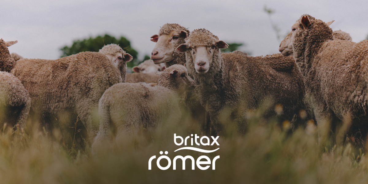Un groupe de moutons se tenant serr&eacute;s dans un champ herbeux, avec un premier plan flou et le logo &lsquo;Britax R&ouml;mer&rsquo; en bas.